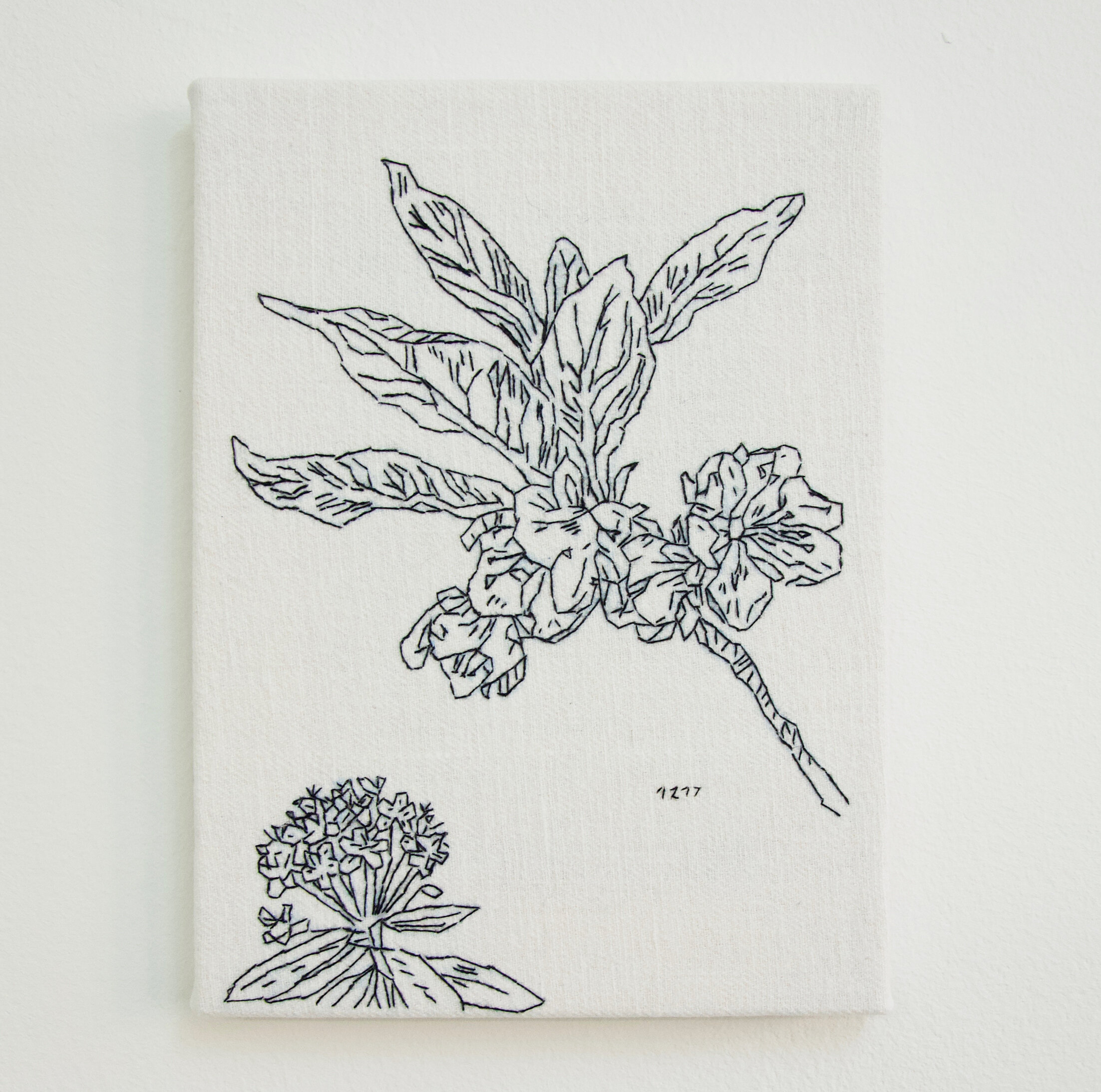 Schwarz-weiße Illustration einer Pflanze mit Blättern und Blüten, darunter ein kleines, detailliertes Blumenbild.