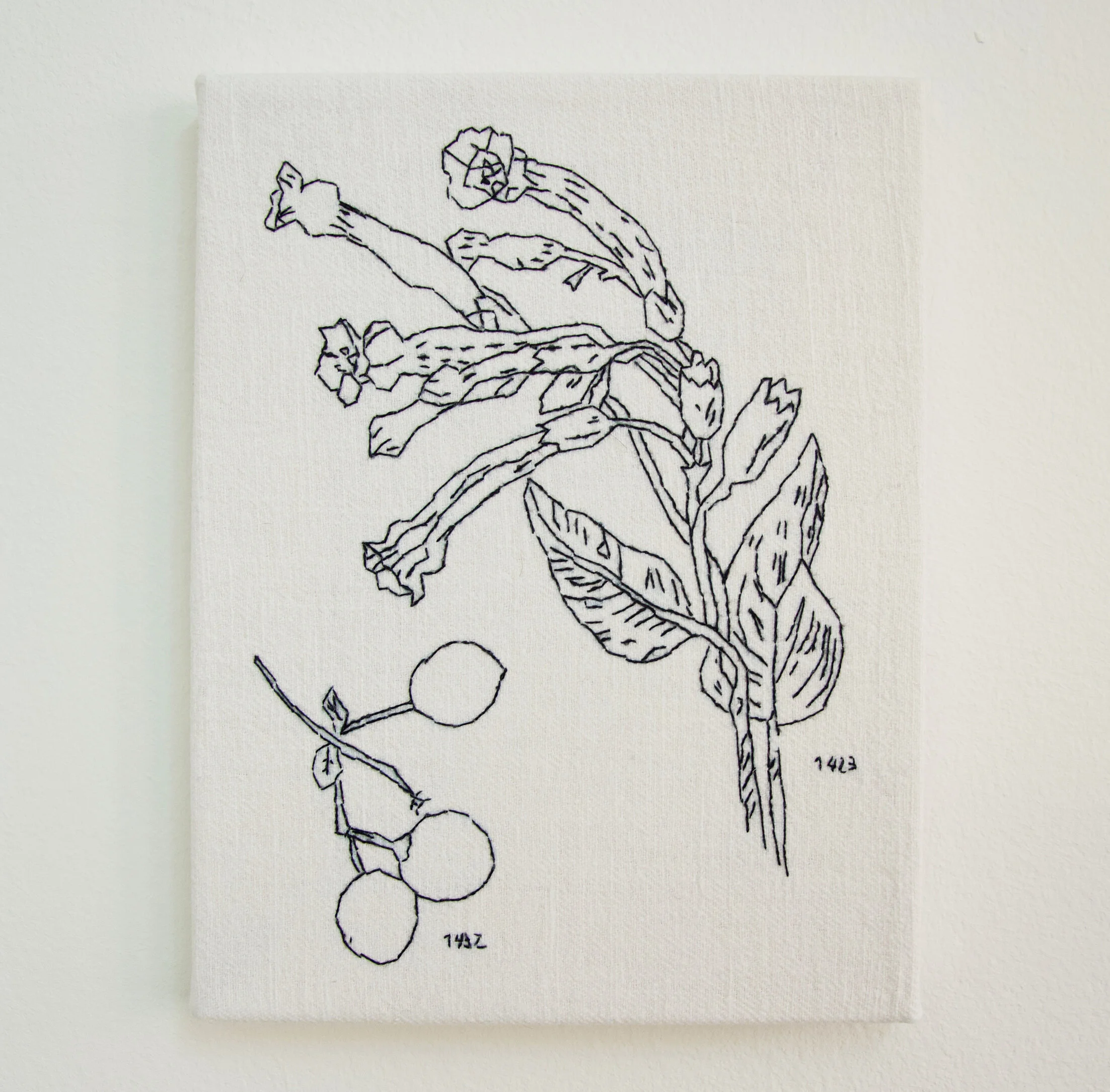 Strichzeichnung einer Pflanze mit Blüten und drei Früchten an einem Ast, beschriftet mit den Zahlen 1432 und 1433.