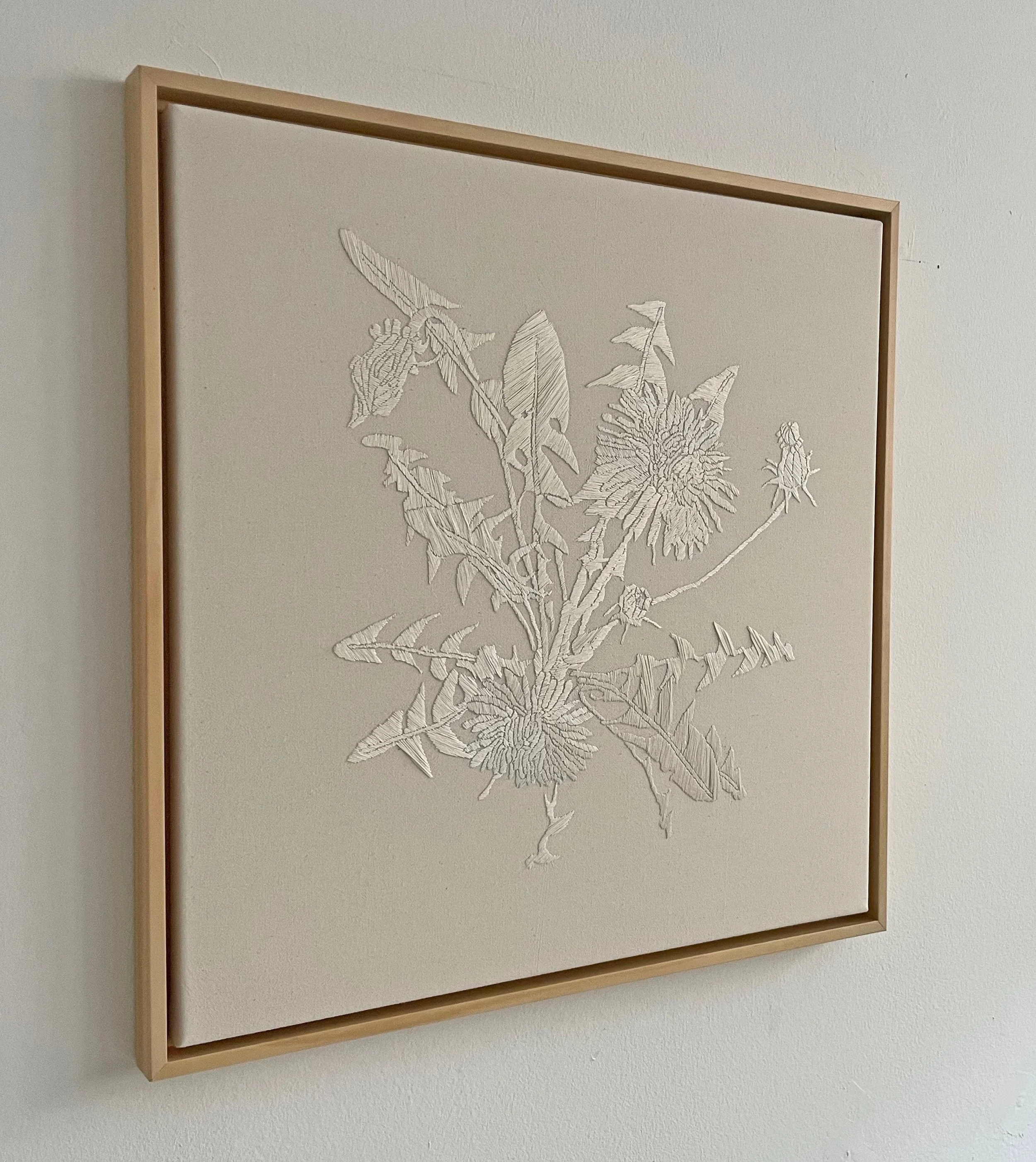Ein gerahmtes Kunstwerk mit einer feinen weißen Stickerei einer Pflanzen- und Insektendarstellung an einer weißen Wand.
