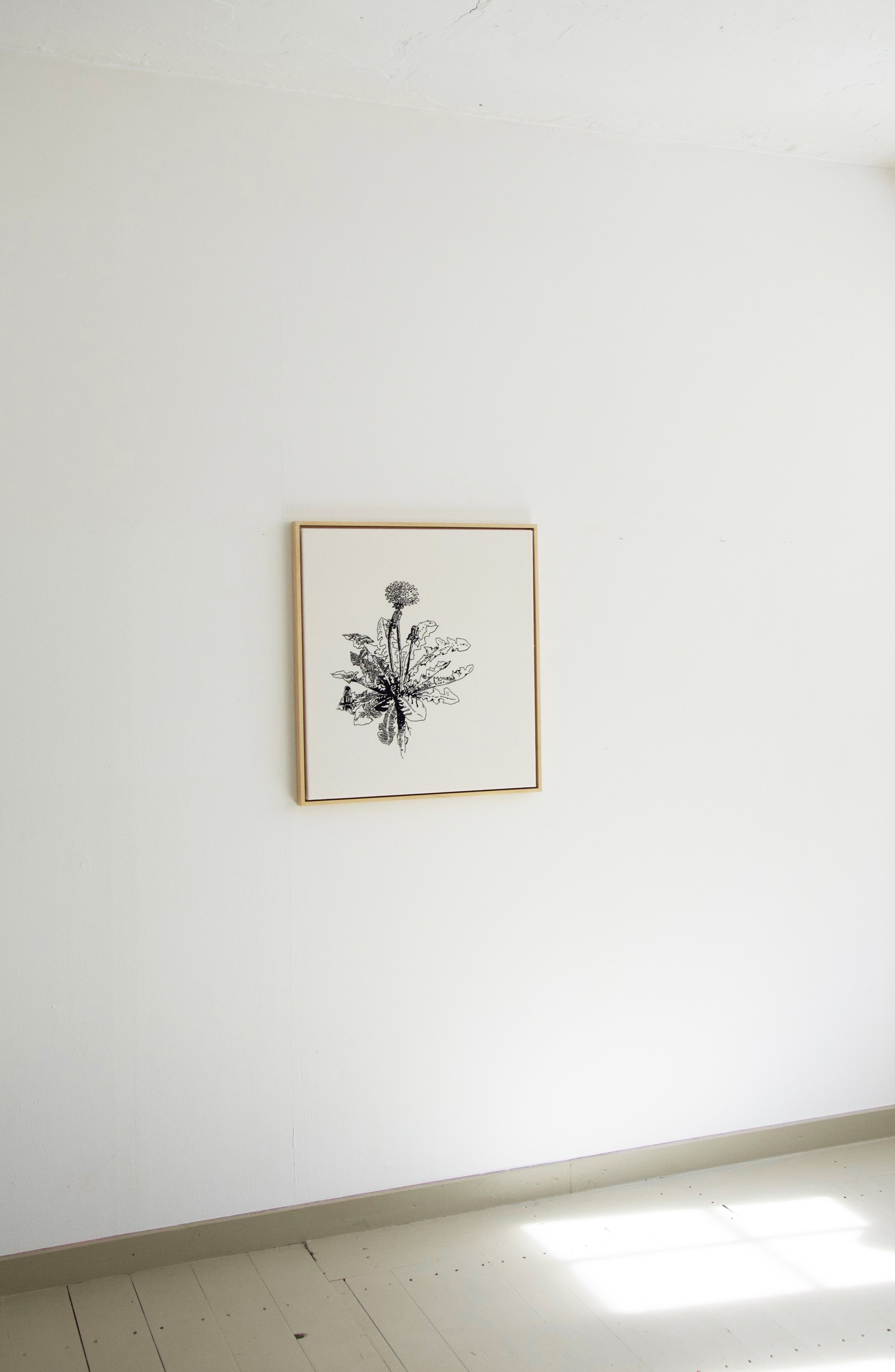 Ein weißer Wandbildschirm mit einem schwarzen und weißen Pflanzenbild in einem Holzrahmen.