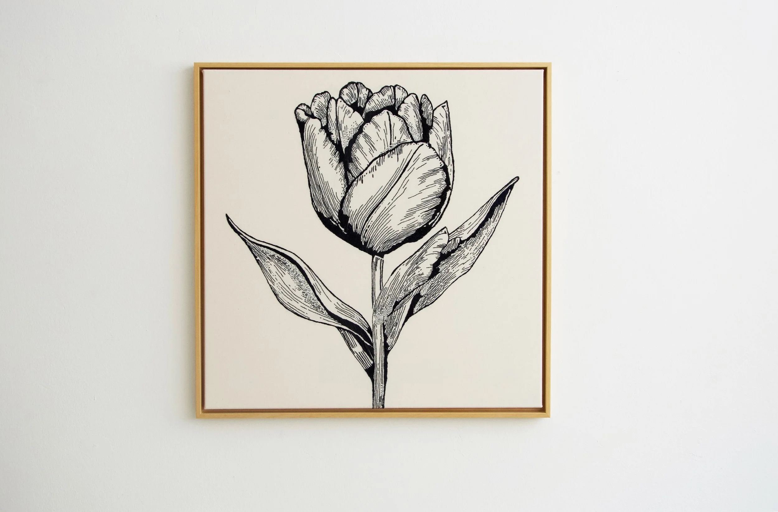 Schwarz-weiß Zeichnung einer Tulpe in einem goldfarbenen Rahmen, auf weißem Hintergrund.