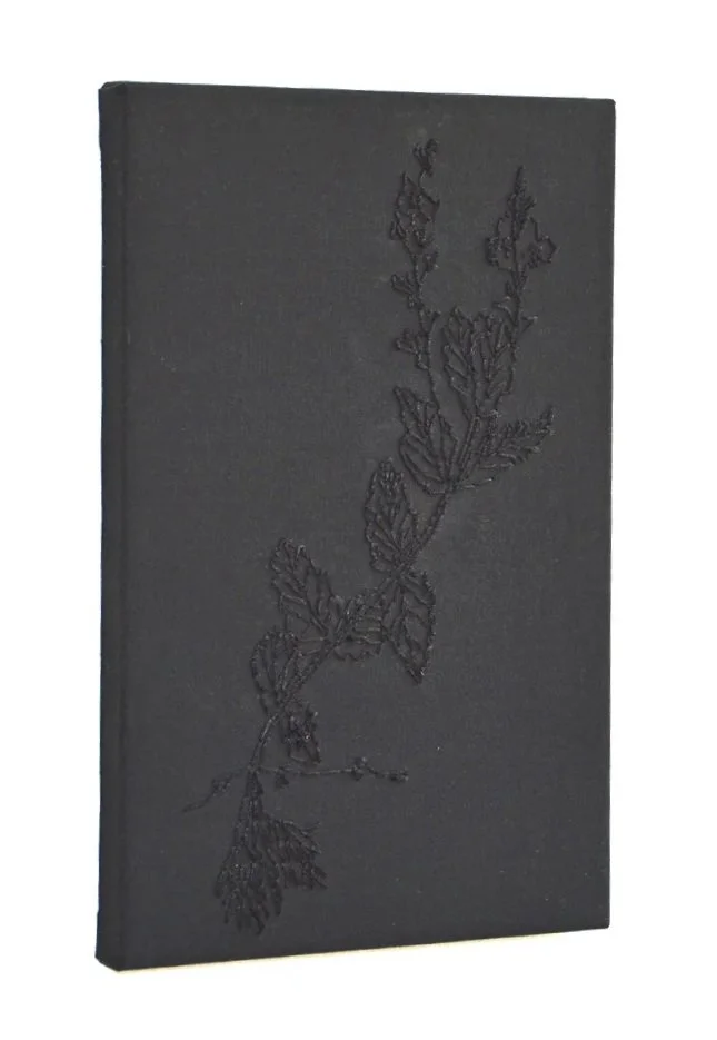 Wildes Vergissmeinnicht - Handstickerei auf schwarzer Baumwolle, 34 x 22 cm, 2017