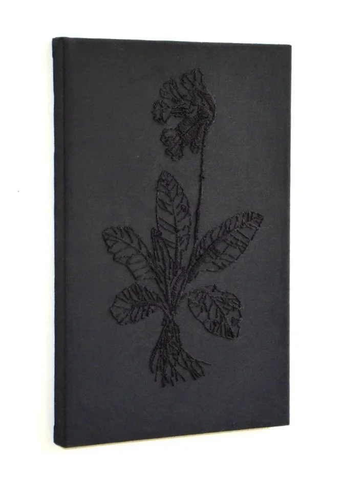 Himmelsschlüssel - Handstickerei auf schwarzer Baumwolle, 34 x 22 cm, 2017