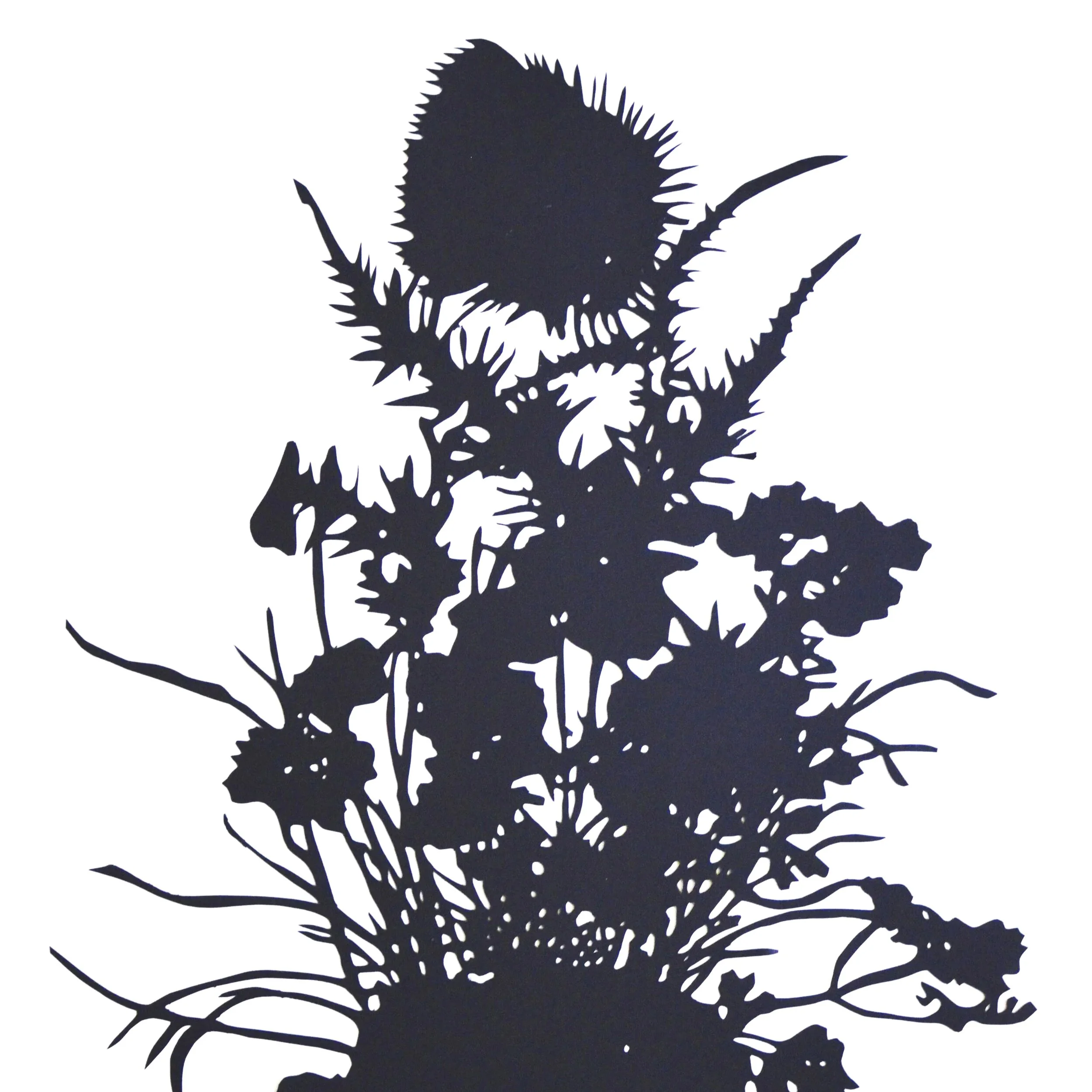 Schwarz-weiße Silhouette einer Bauerngartenblume mit großen Blättern und Blüten.