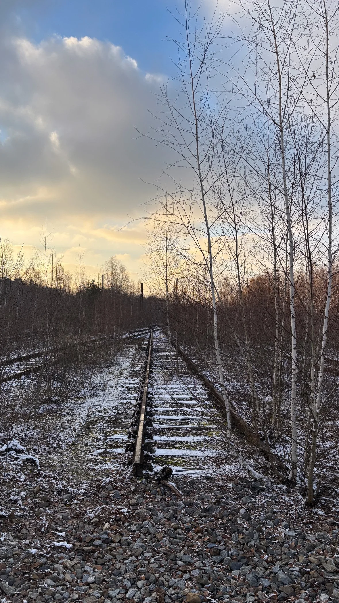 Verrostete Bahngleise in einer winterlichen Landschaft mit kahlen Bäumen und einem bewölkten Himmel.
