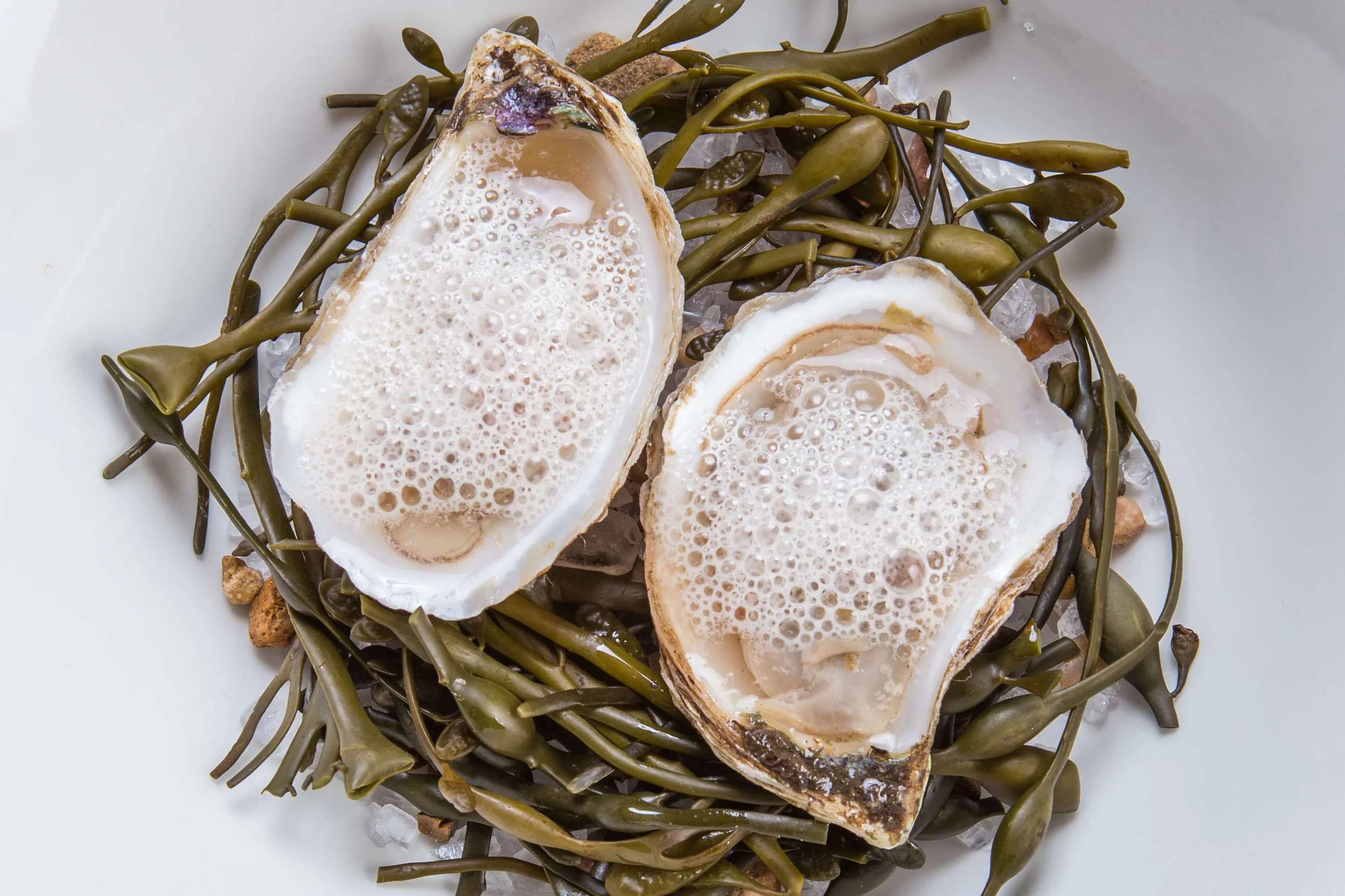 Market Oyster / Grapefruit Mignonette