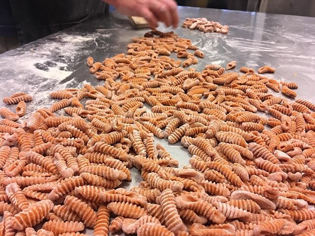 Carrot Cavatelli literally &quot;little hollows&quot; are small pasta shells from eggless semolina dough. This color is from fermented carrot powder. #nofilter #carrot #cavatelli #madeinhouse