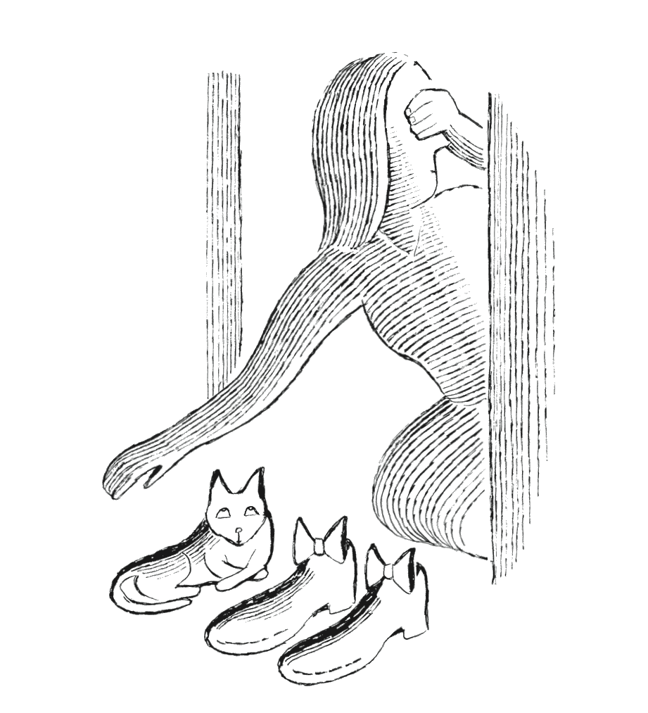 fashion-loop-opt.gif
