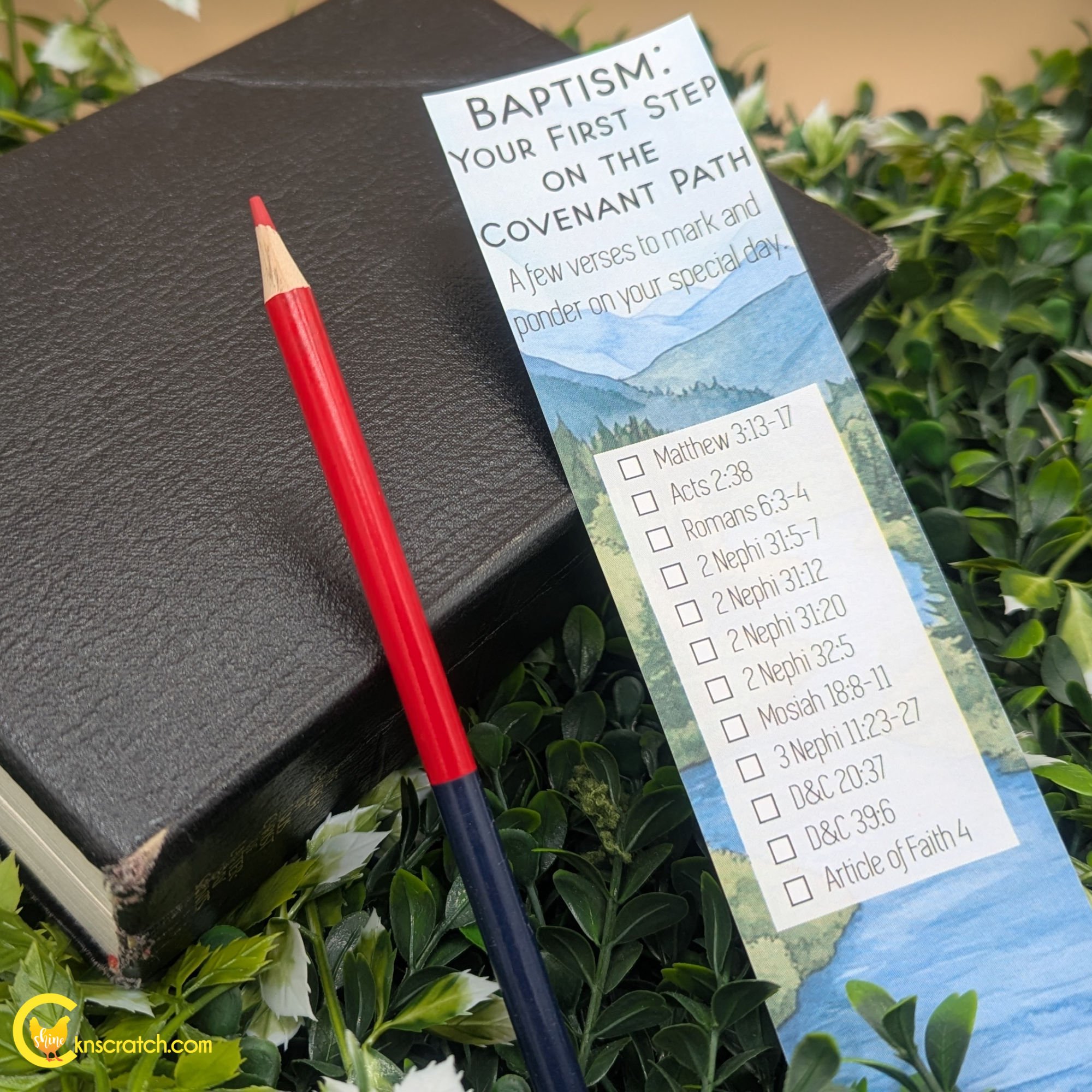 baptism scripture marking bookmark with red and blue pencil.jpg