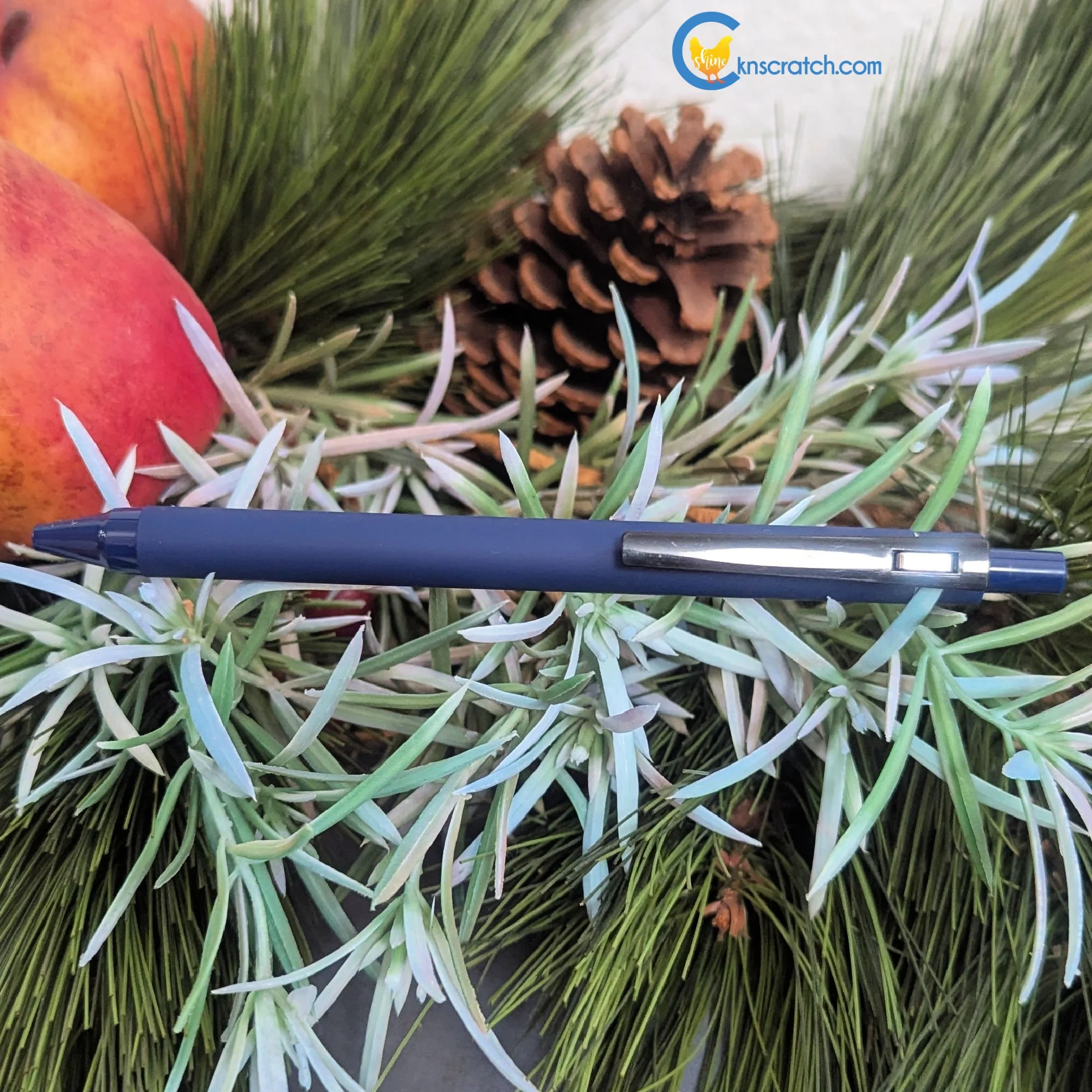 pen back for stocking stuffer.jpg