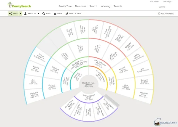 Love these fan charts to show your ancestery!