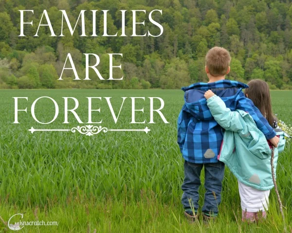 Won't You Be My Neighbor? 3 Reasons to Cultivate Your Neighborhood ...
