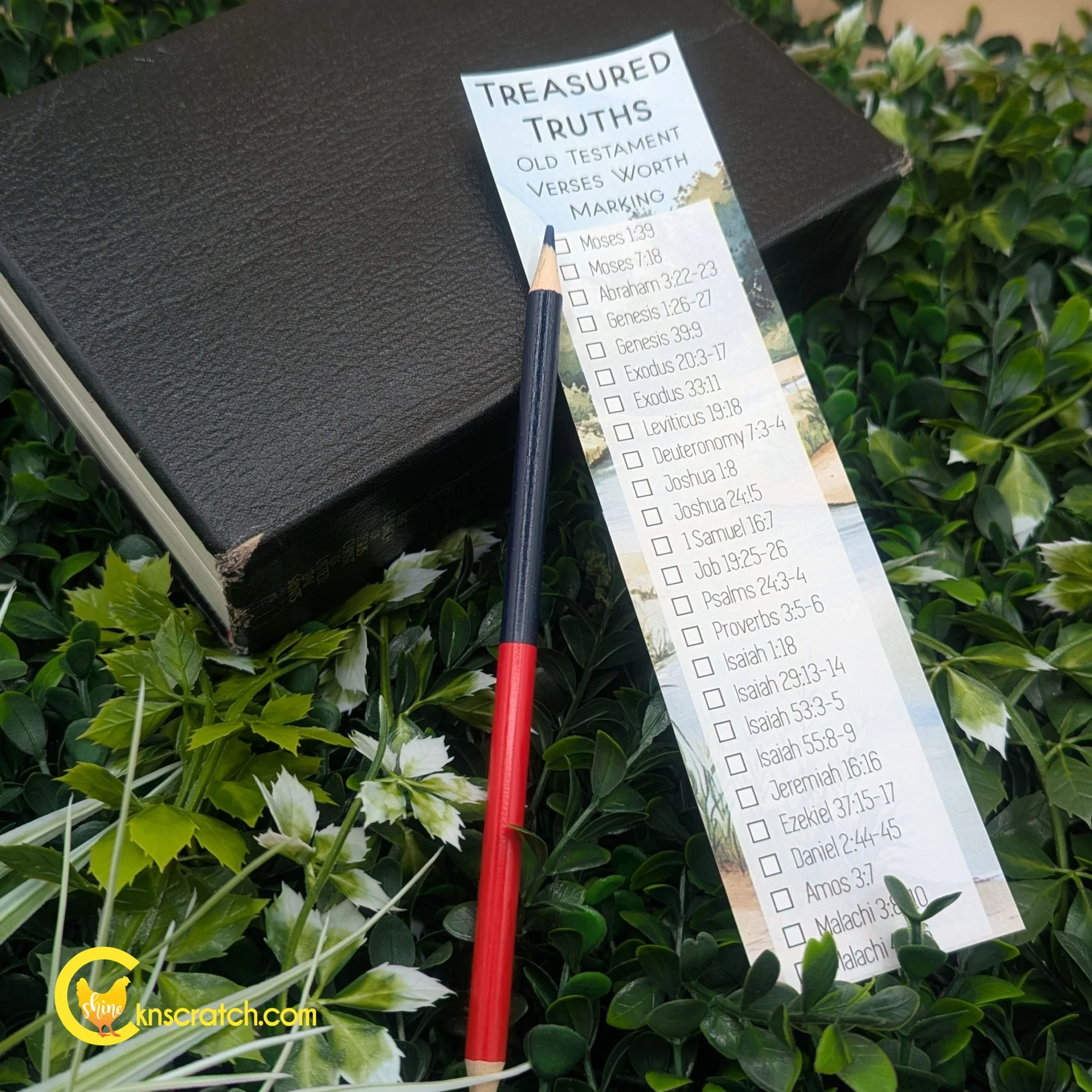 old testament scripture marking pencil with treasured truth bookmark.jpg