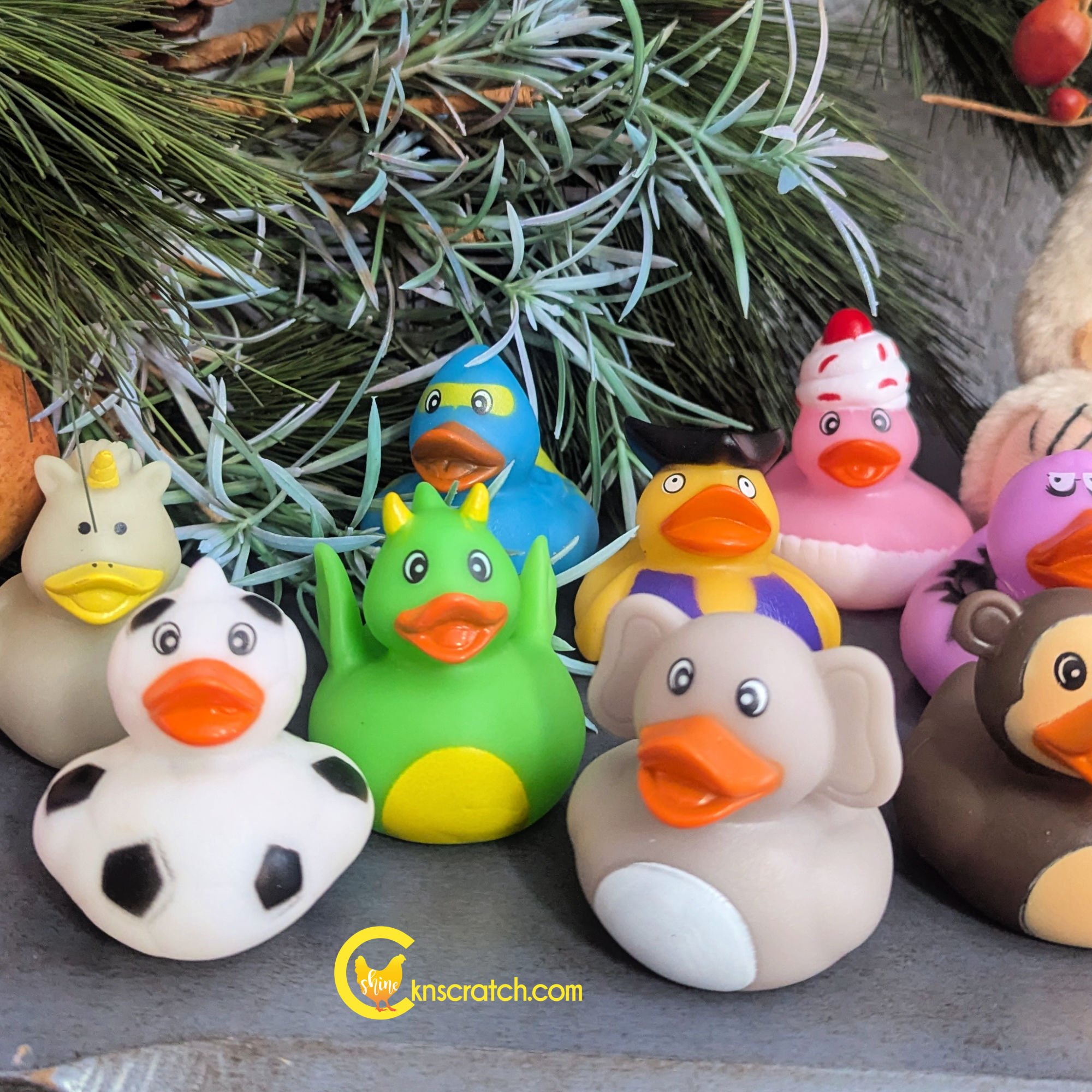 rubber duck example of many.jpg