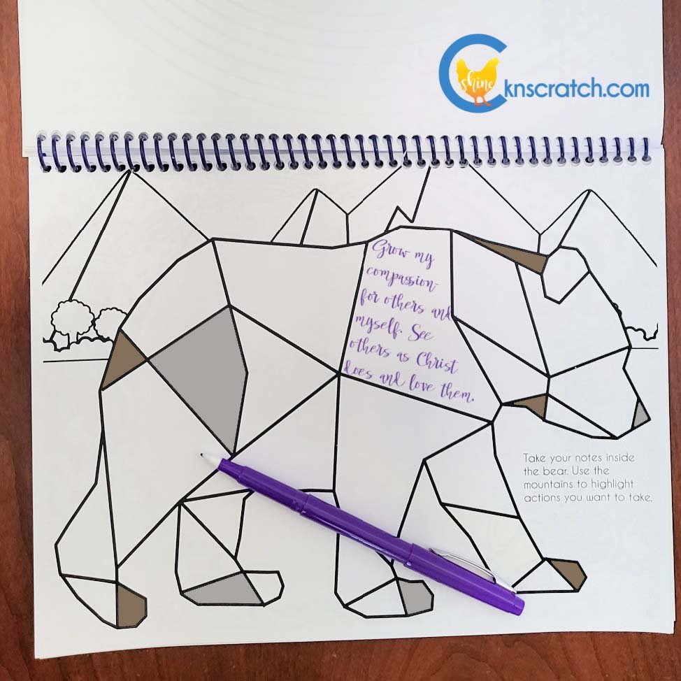 bear notes square.jpg