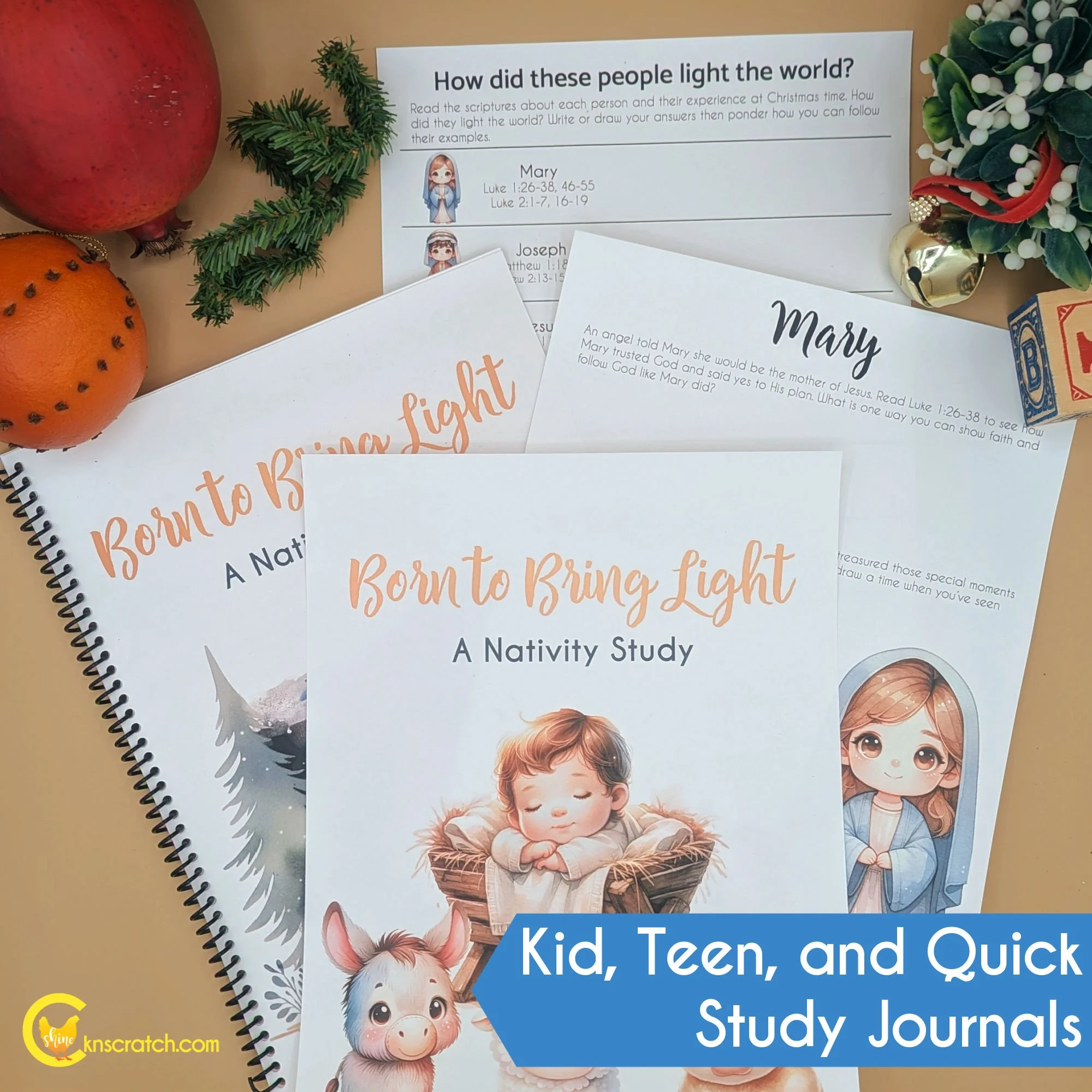 kid, teen, quick study guides for nativity gift set.jpg