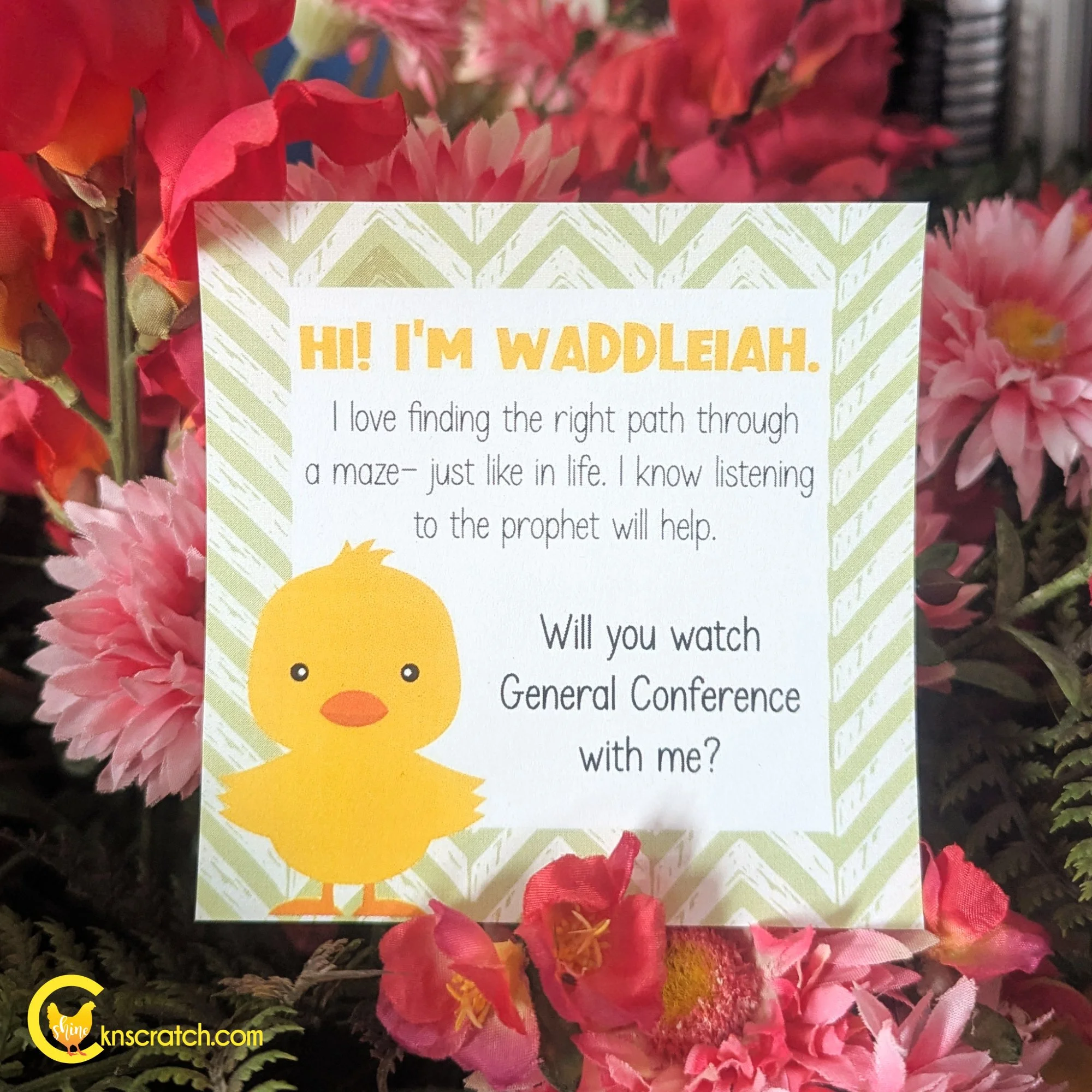 maze duck for general conference.jpg