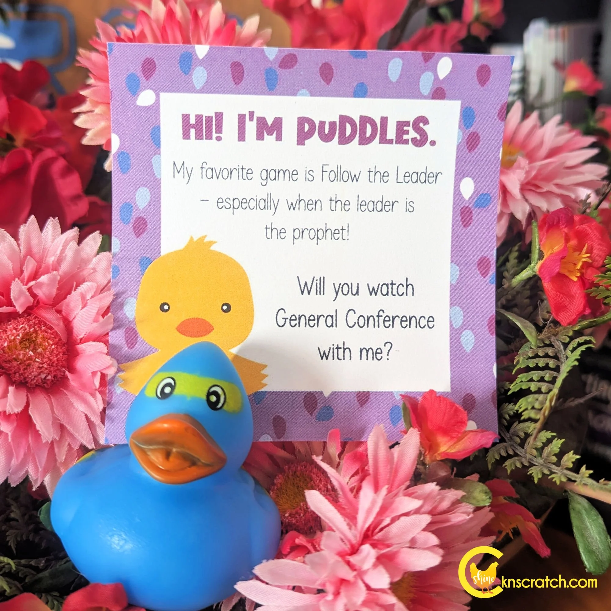 puddles duck for general conference lds.jpg