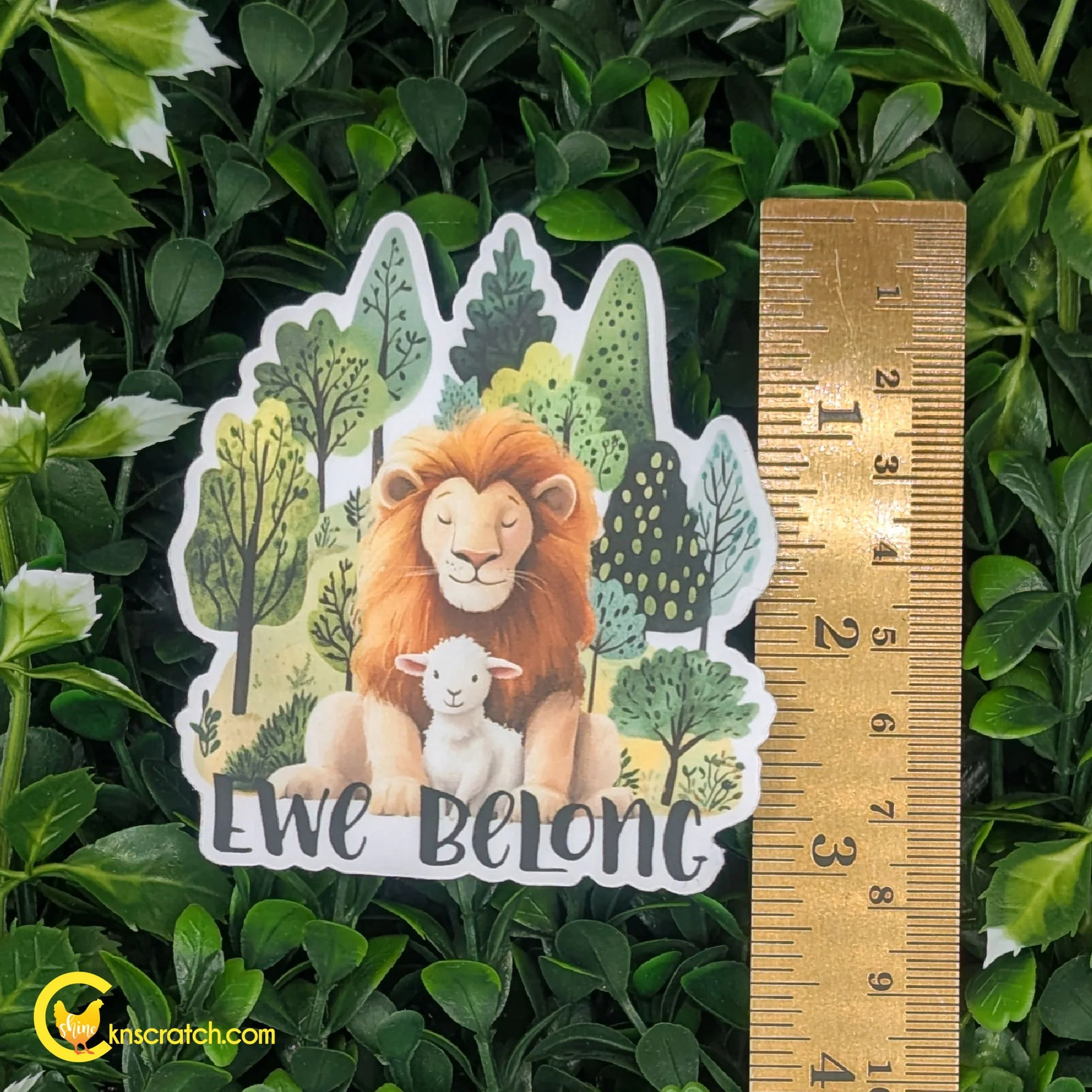 three inch sticker for waterbottles lion and lamb friends on a sticker that says ewe belong.jpg