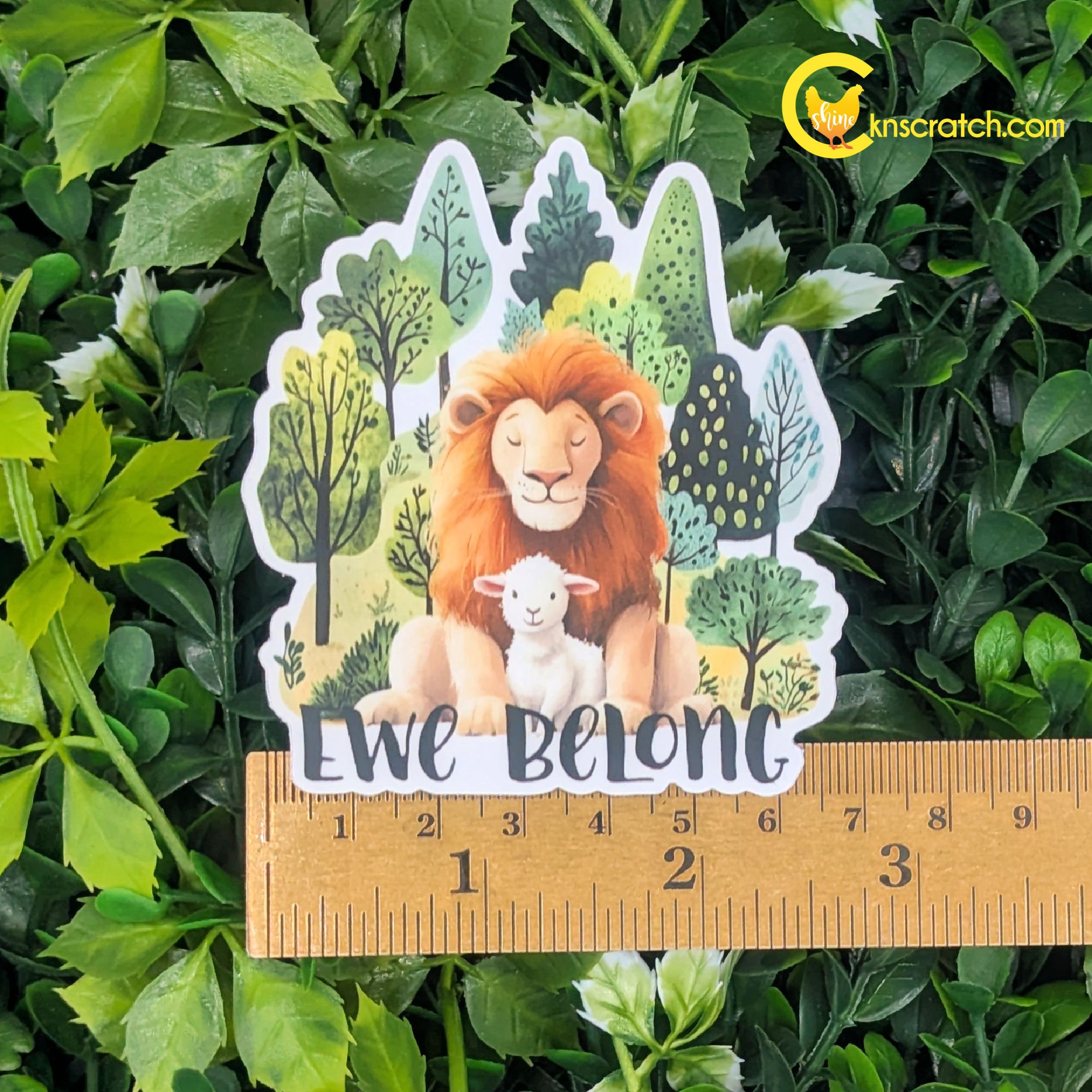 ewe belong lion sheep sticker 2.5 inches wide.jpg