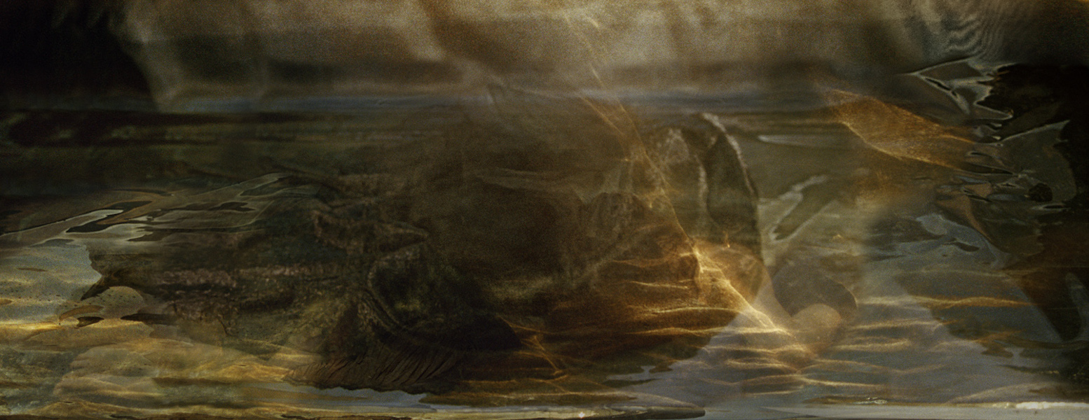 Cloud Cover 1.4, 2013 Archival inkjet print, 20 x 52 inches