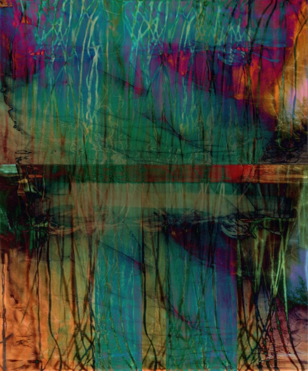 Surface Tension: Root Series, 2.2 , 2016 Chromogenic colour print, 54 x 45 inches