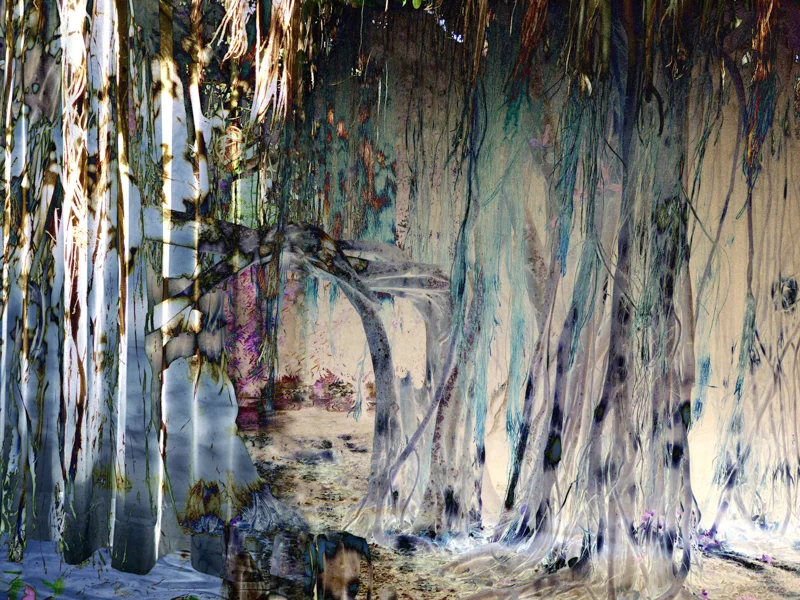 ROOTS AND RADICLES 6 , 2017 PIGMENT INK ON PHOTO RAG, 34 x 45 INCHES