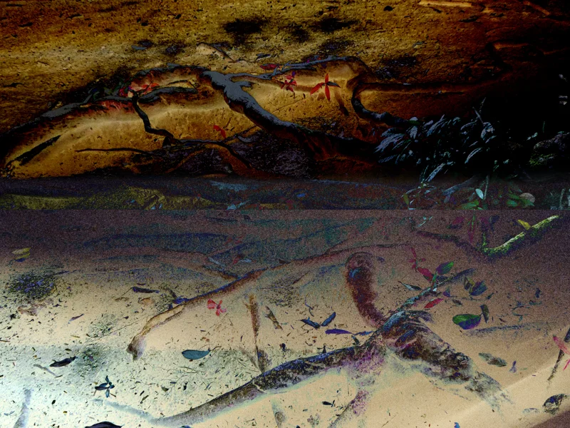 ROOTS AND RADICLES 7 , 2017 PIGMENT INK ON PHOTO RAG, 17 x 22 INCHES