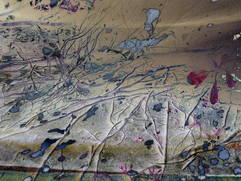 ROOTS AND RADICLES 1 , 2017 PIGMENT INK ON PHOTO RAG, 17 x 22 INCHES