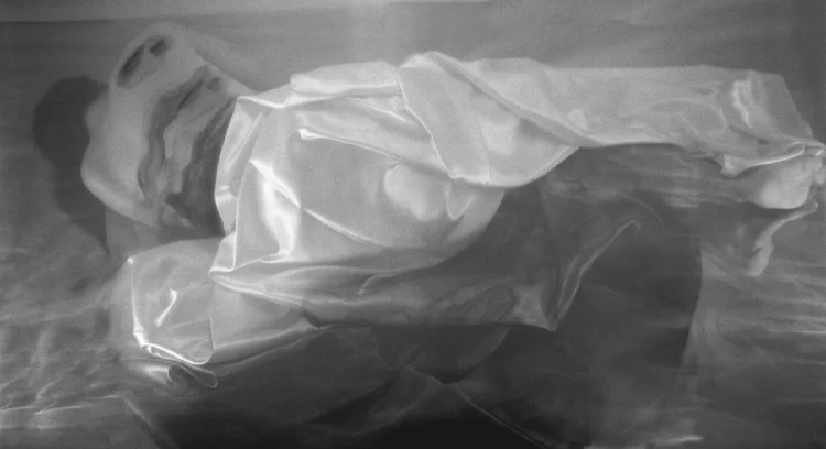 Sure Sign Watermark Series, 5 - #5, 2005-6 B/W Photo-based digital output on archival media, 24 x 47 inches