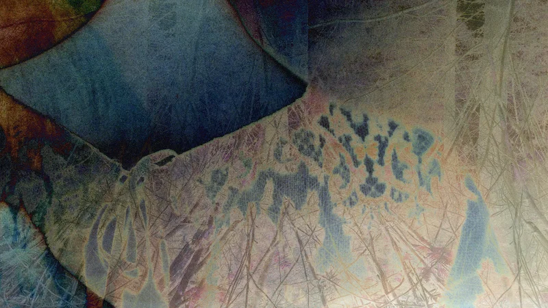 Woodland Series 2 , 2019 Chromogenic print, 33 x 66 inches