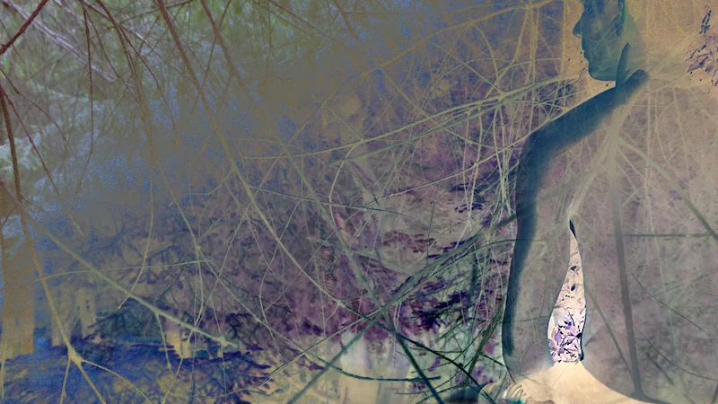 Woodland Series 3, 2019 Chromogenic print, 33 x 66 inches