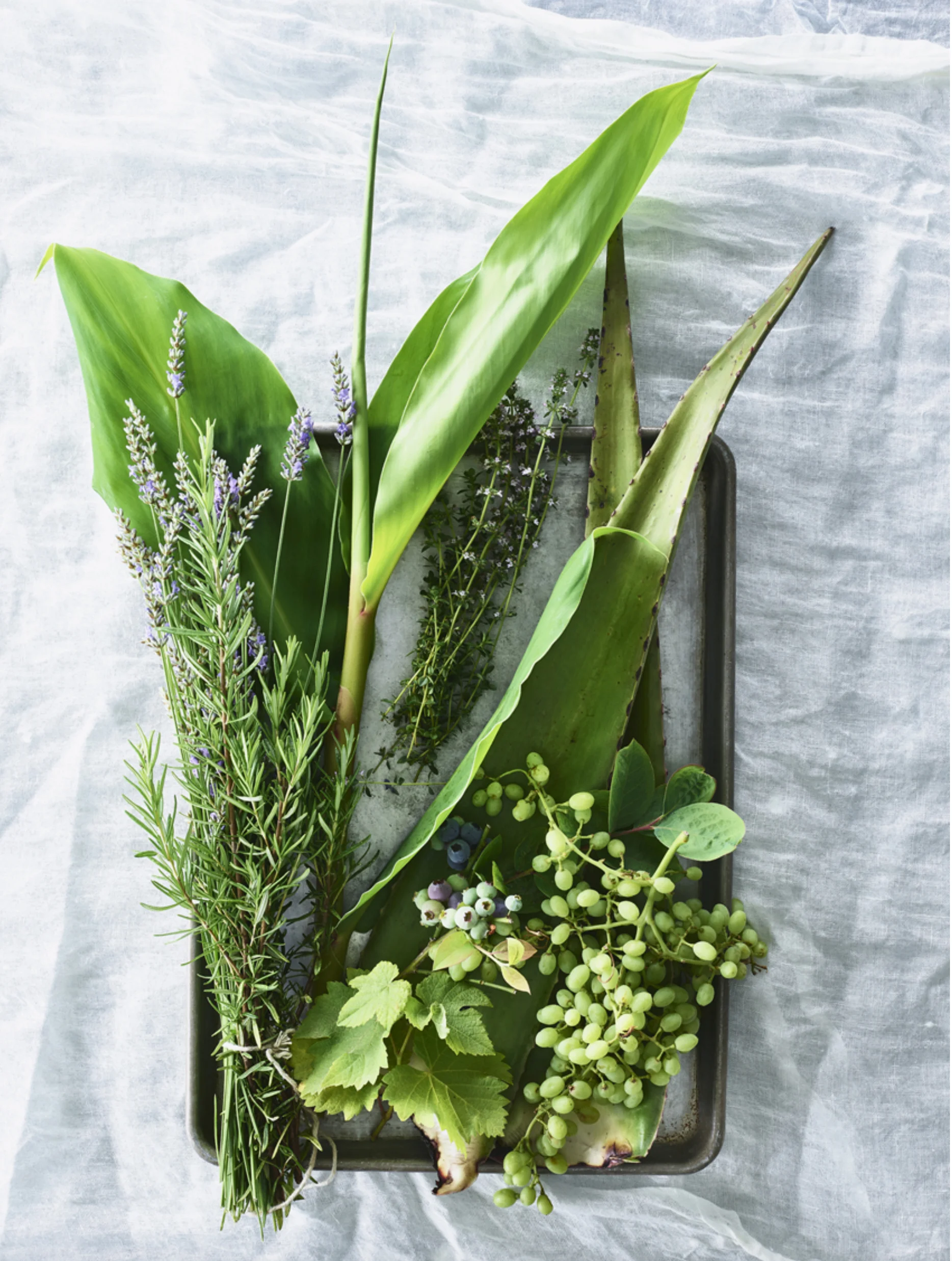 Screen Shot 2019-05-15 at 1.58.44 PM.jpg