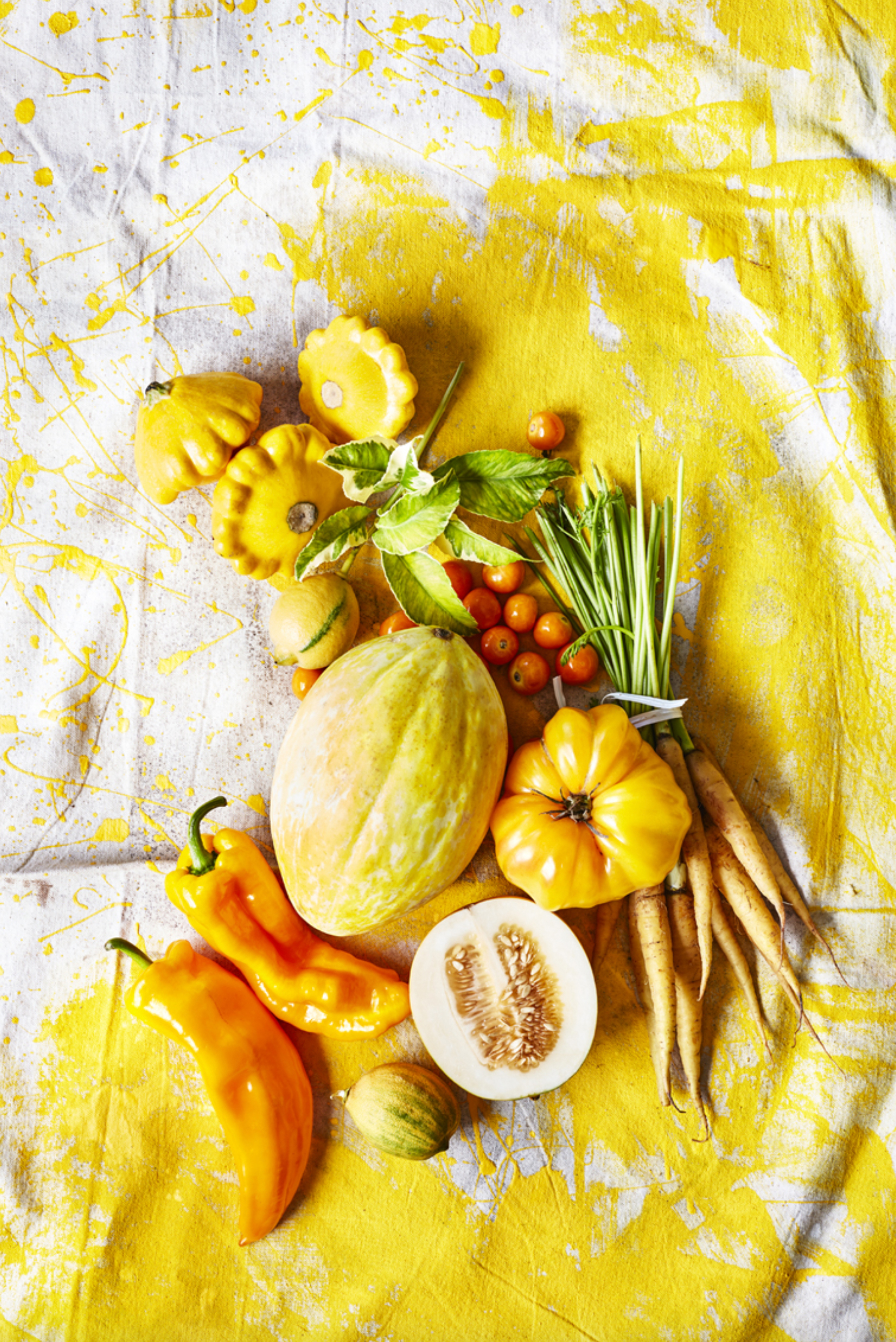 Screen Shot 2019-05-15 at 2.06.35 PM.jpg