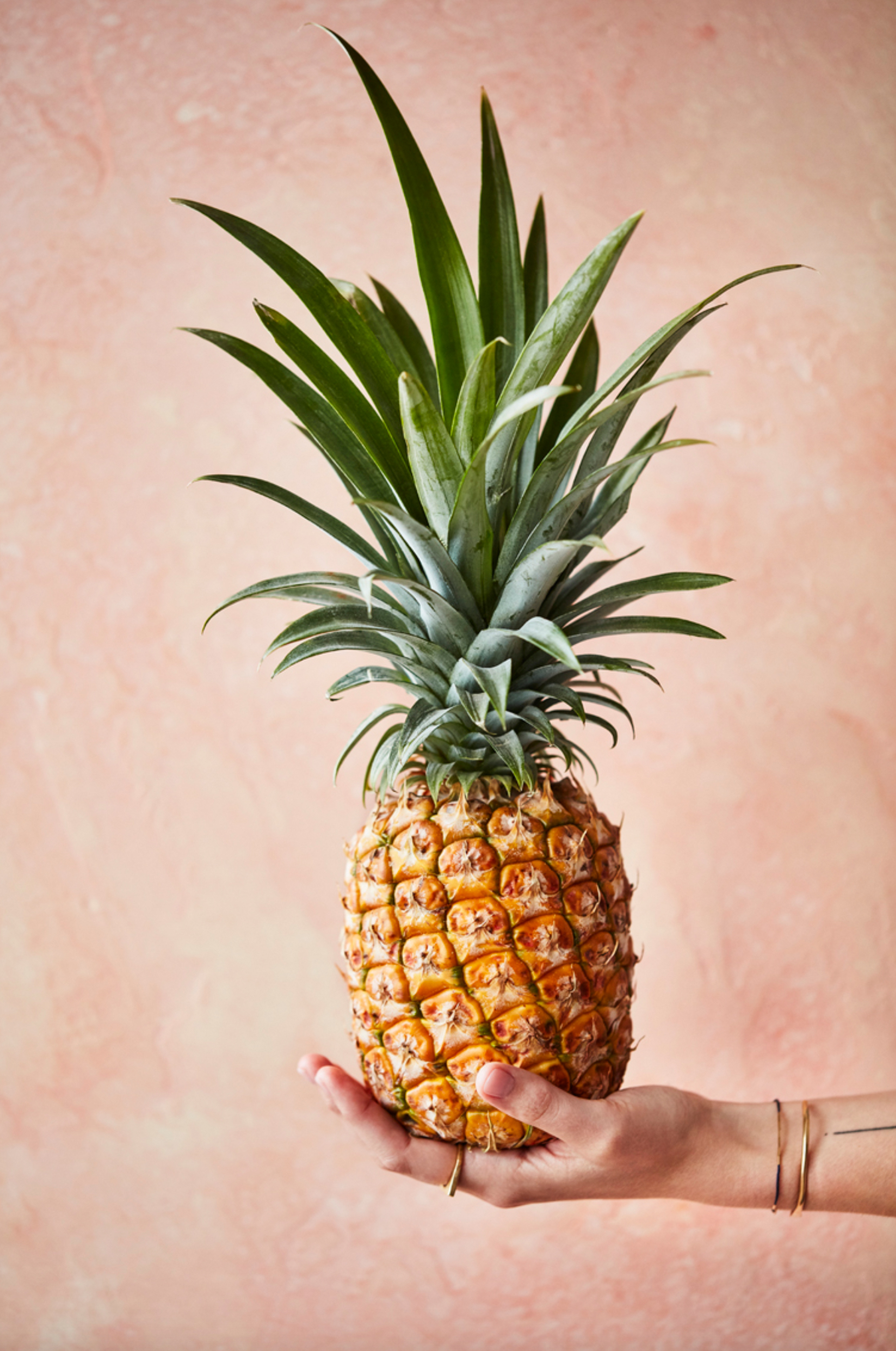 Screen Shot 2019-05-15 at 3.30.12 PM.jpg