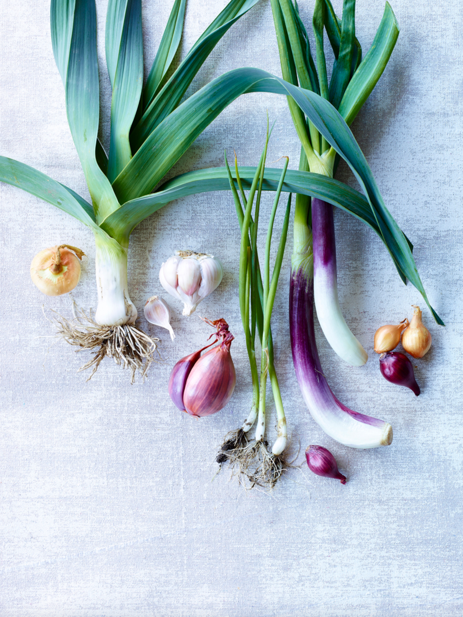 Screen Shot 2019-05-15 at 3.32.34 PM.jpg