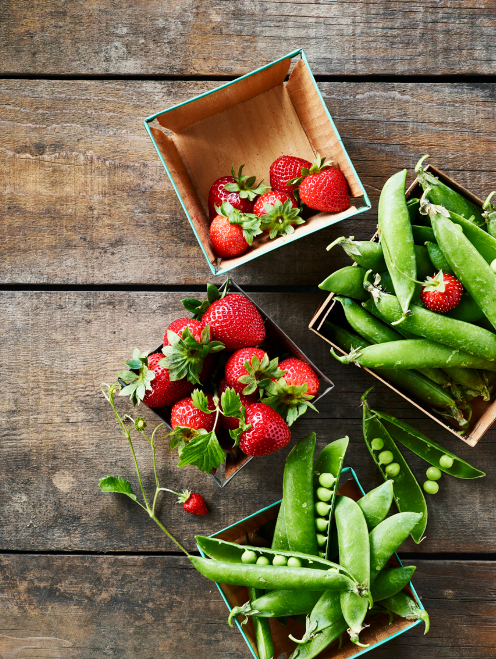 Screen Shot 2019-05-15 at 3.34.51 PM.jpg