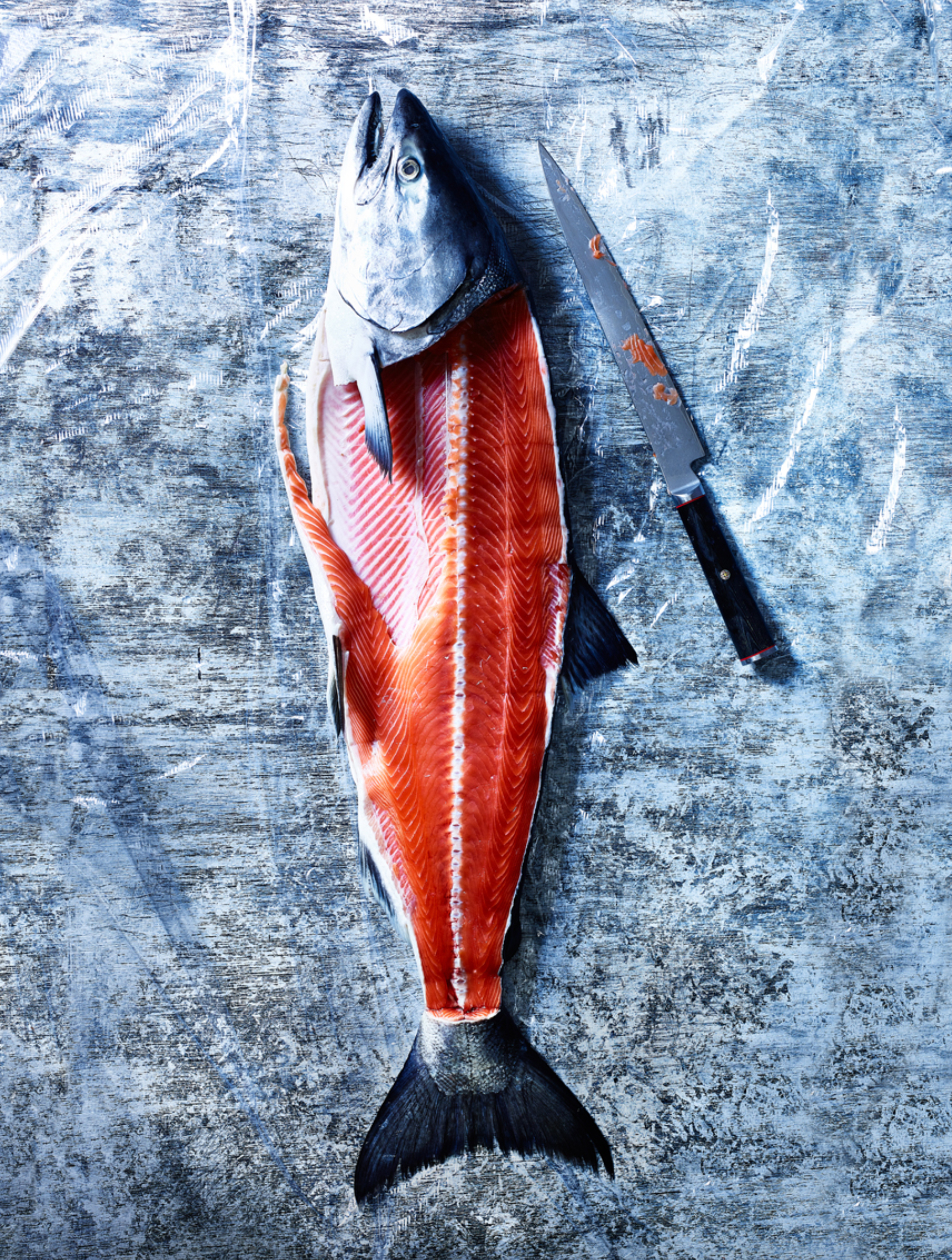 Screen Shot 2019-05-15 at 3.45.04 PM.jpg