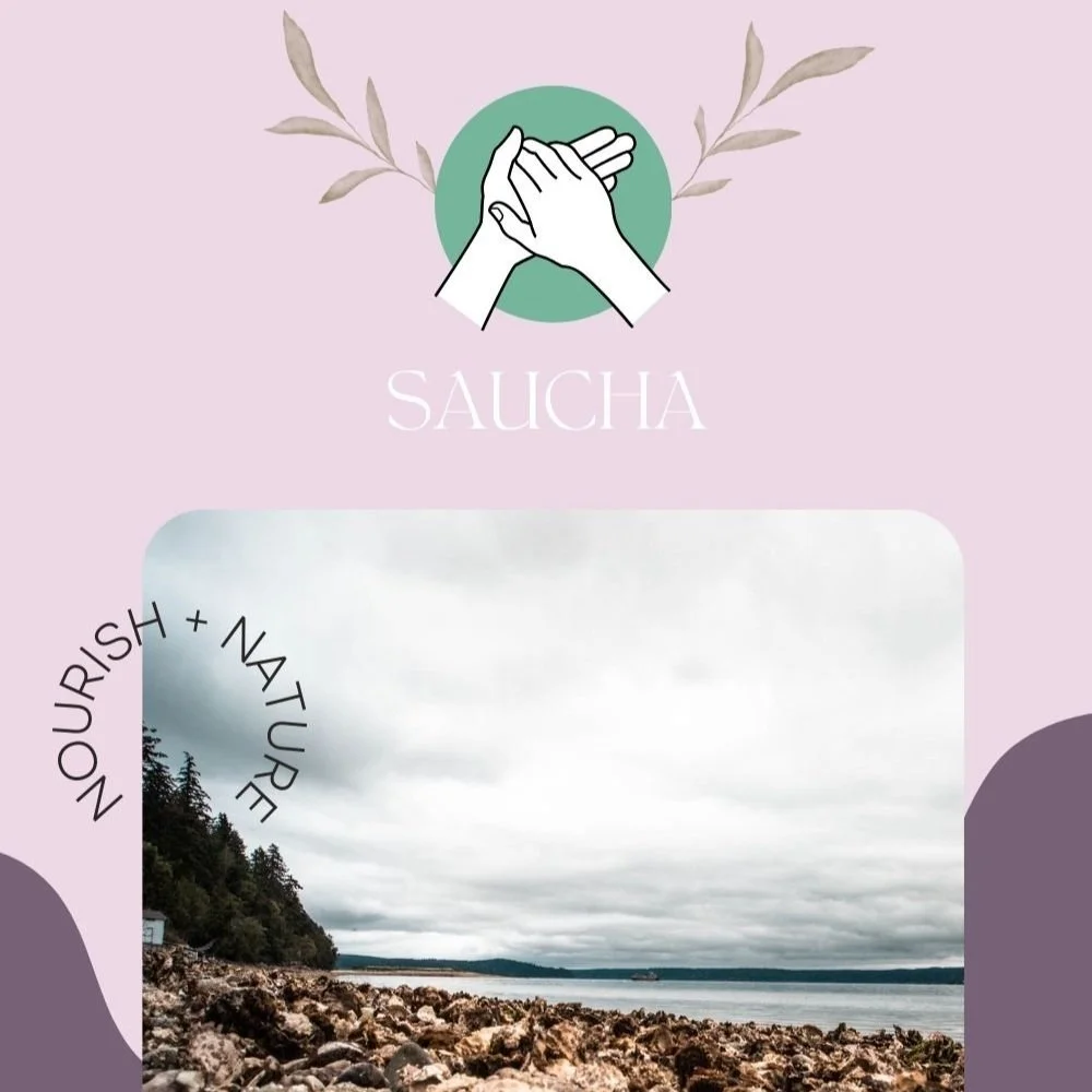 What is Saucha? (...and how can this apply to my life?)