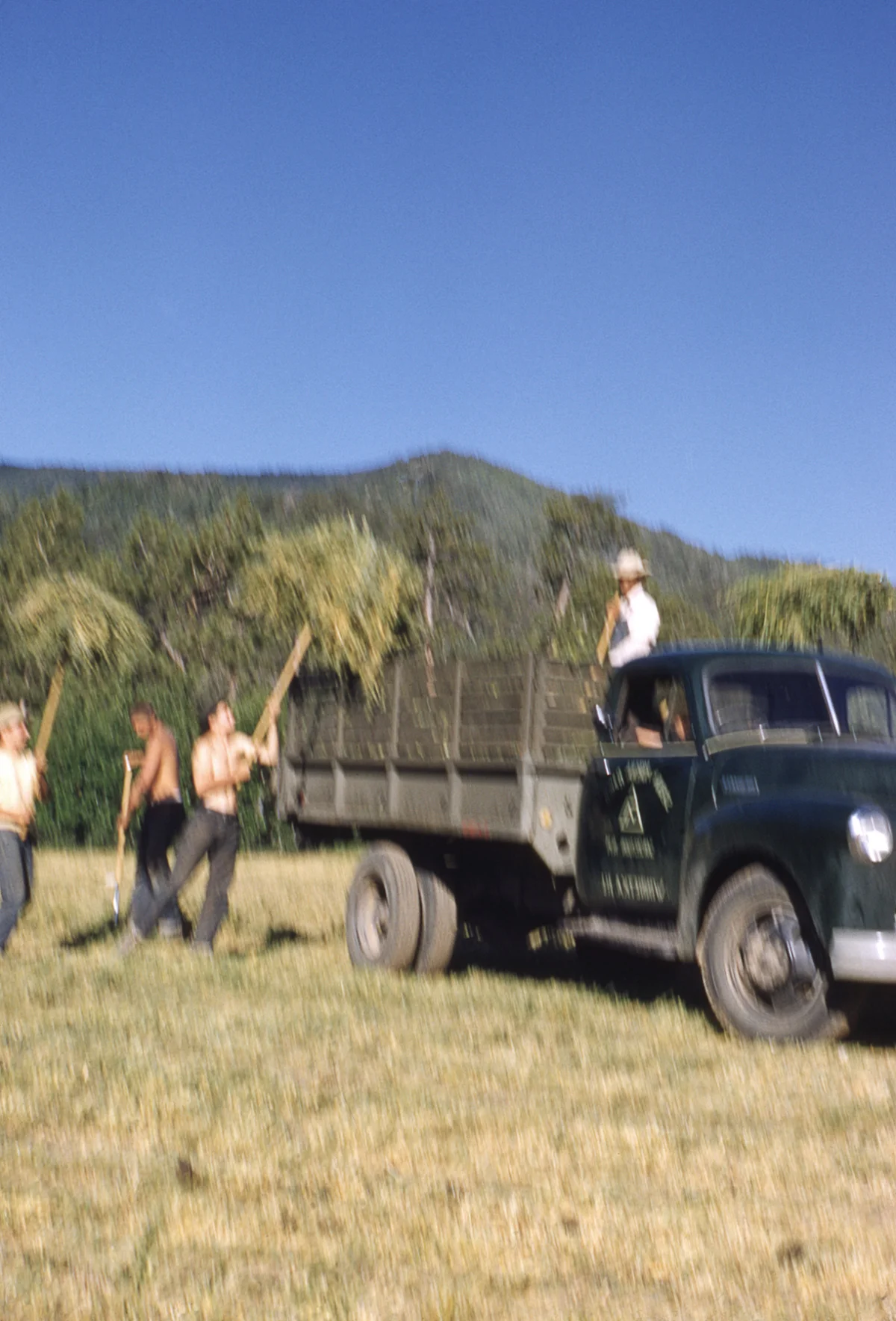 old_boys_camp005.jpg