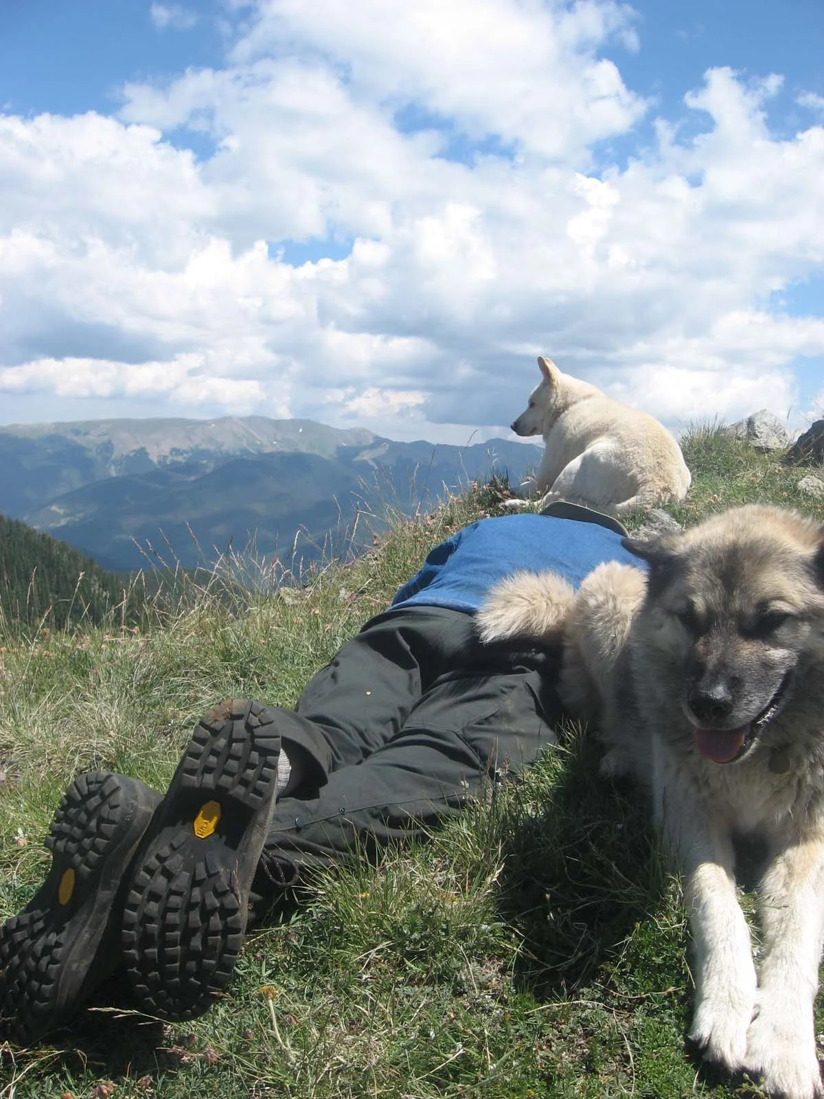 Bud takes a break on Lobo