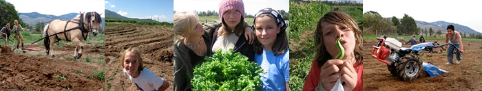 01_banner_community_garden.jpg