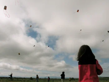 kite flying small.jpg