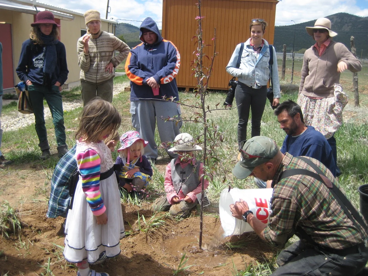 A new resident at the Questa Municipal Park/Library/Youth center gets its first drink on Earth Day, 2017. A permanent irrigation system will be installed with support from Taos Los Jardineros, Questa Library, Village of Questa and you! To help, get in touch with Claire: 575-224-9066 or emailforleap@gmail.com .