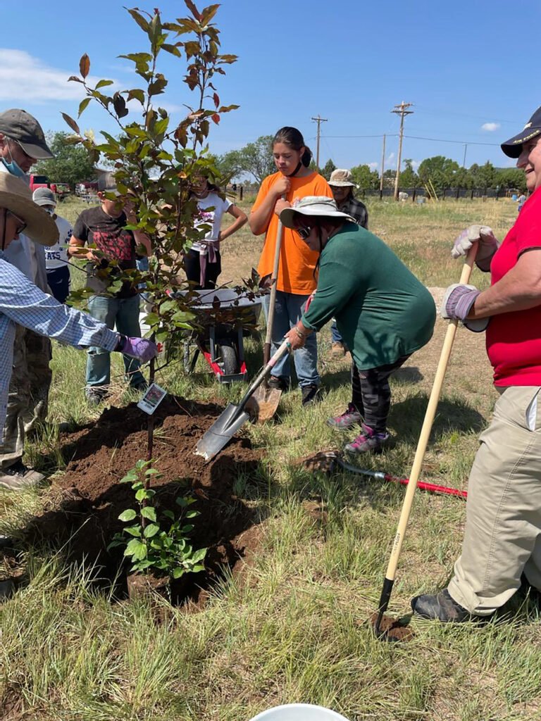 2021 tree planting at the Questa Municipal Park