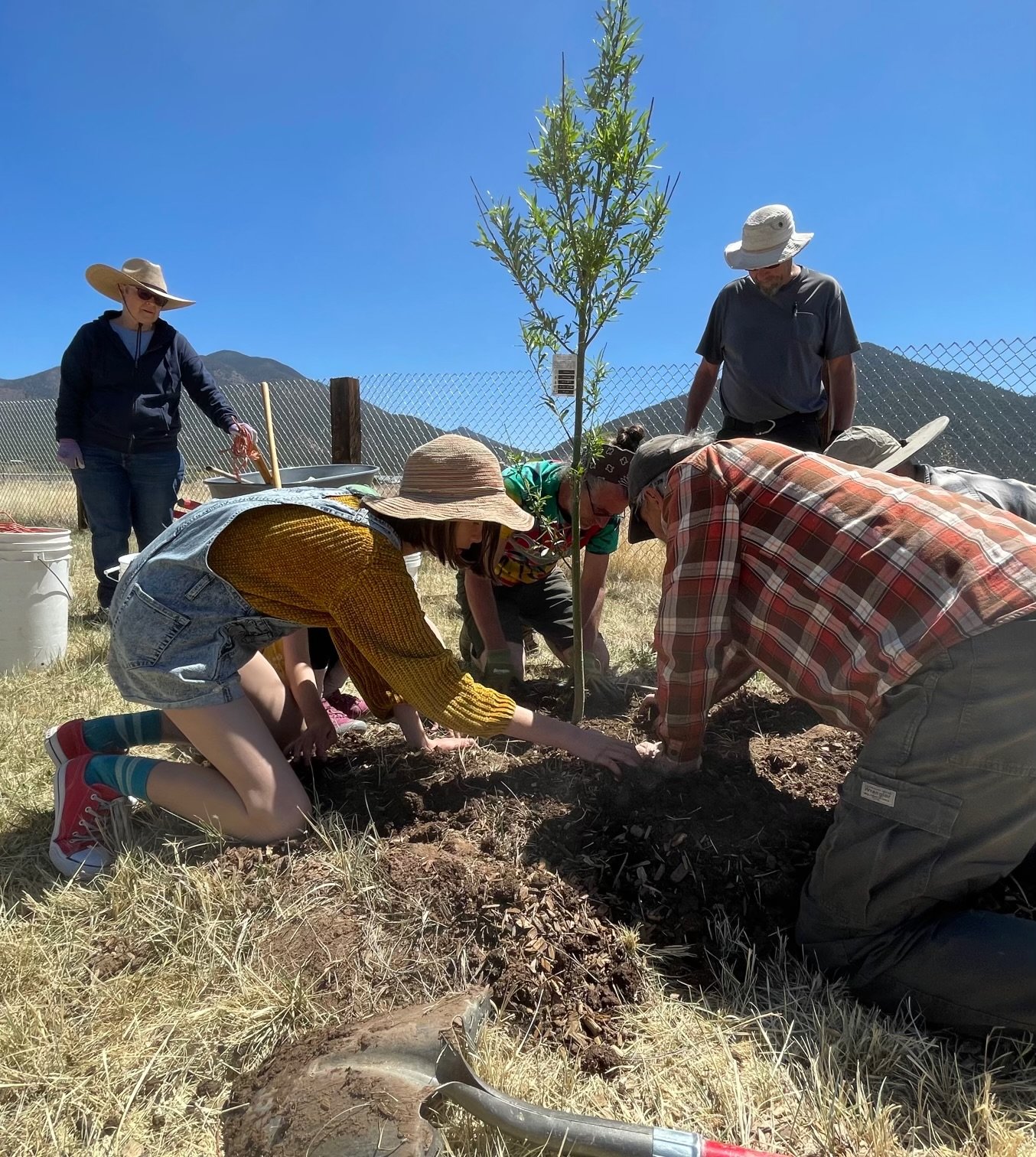 Tree planting in 2022 at the Questa Park