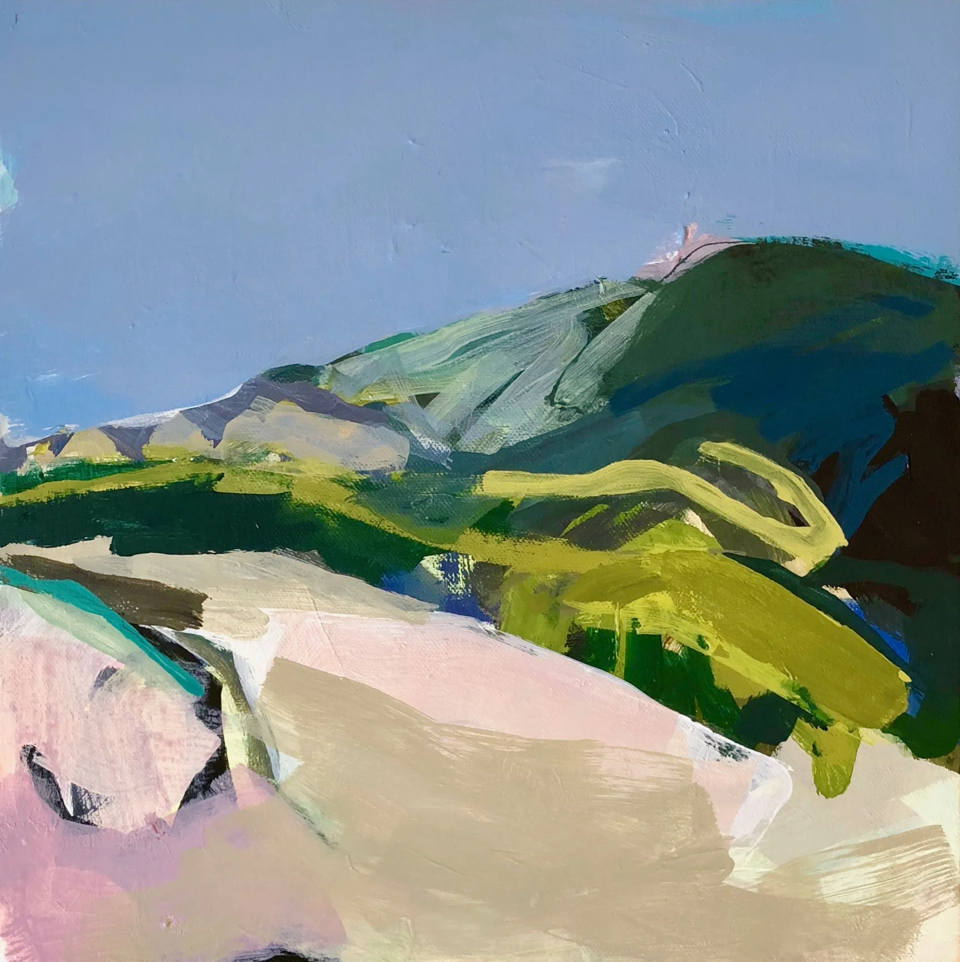 Mount Penobscot Study