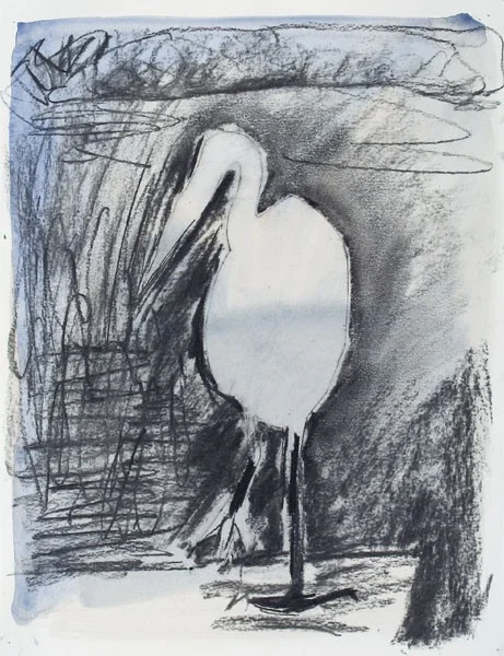 Great Blue ( charcoal)