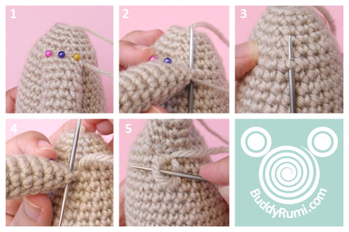 Coser membro.jpg