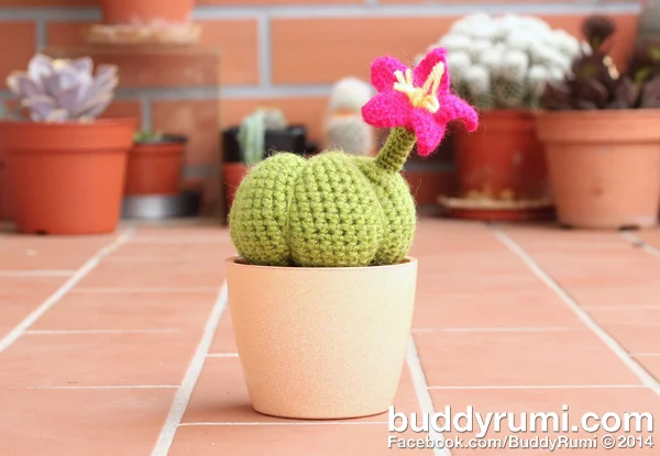 Cacto de crochet.jpg